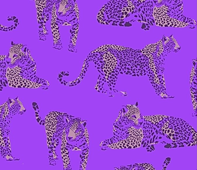 onlyfans Ecem Aktosun profile banner