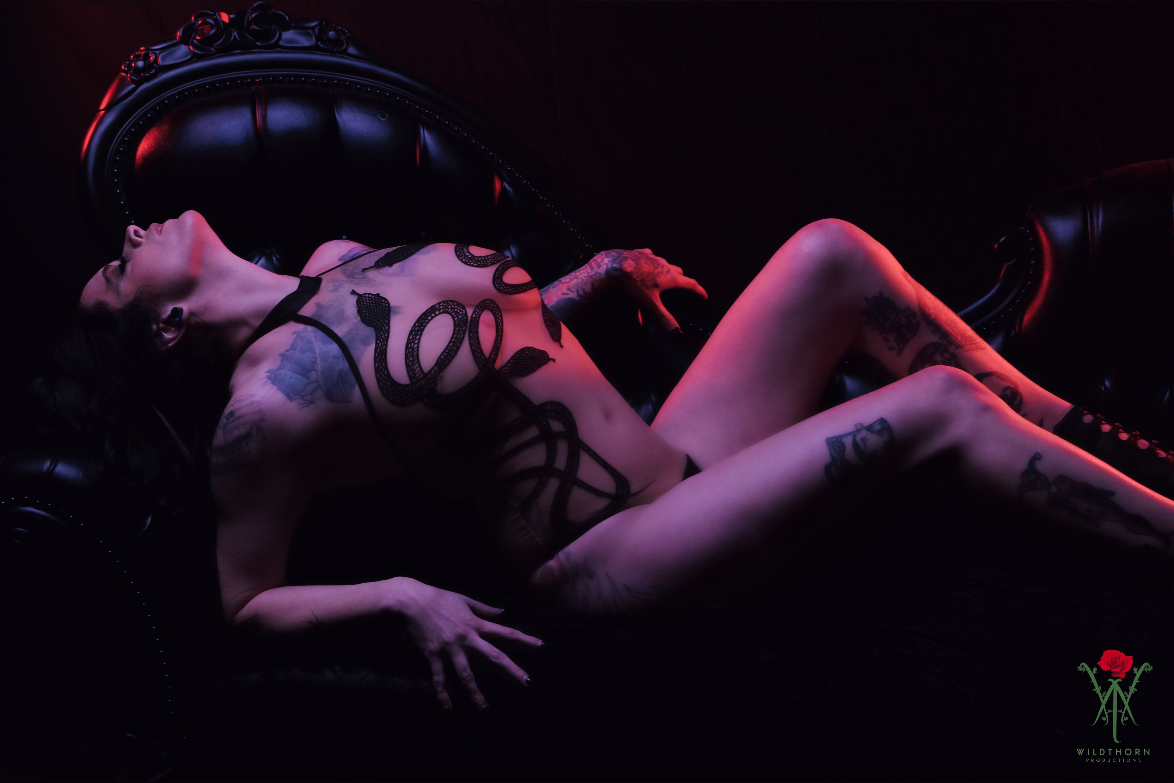 onlyfans Arkhamtitty FREE profile banner