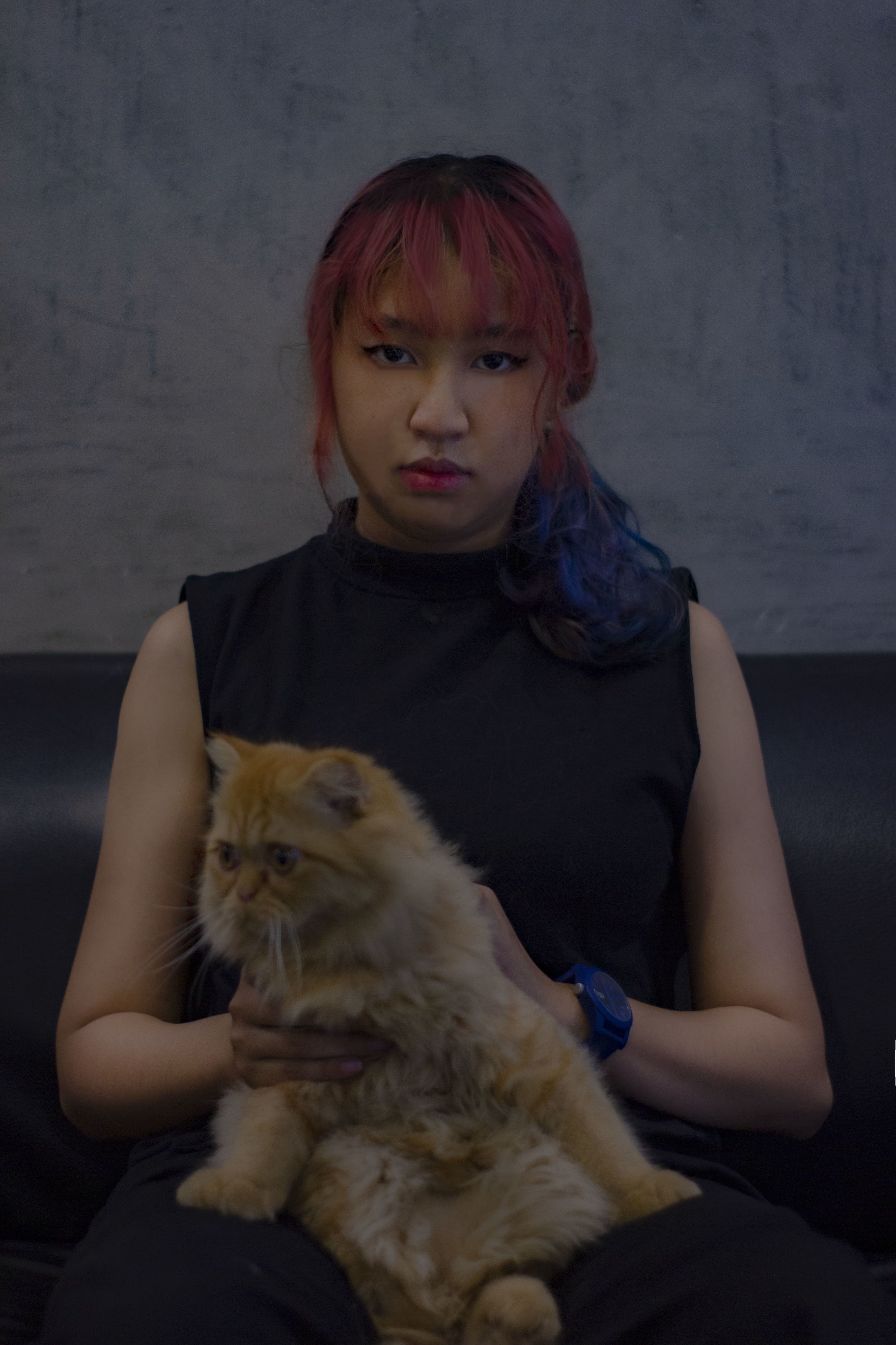 onlyfans Alice in 2002 profile banner