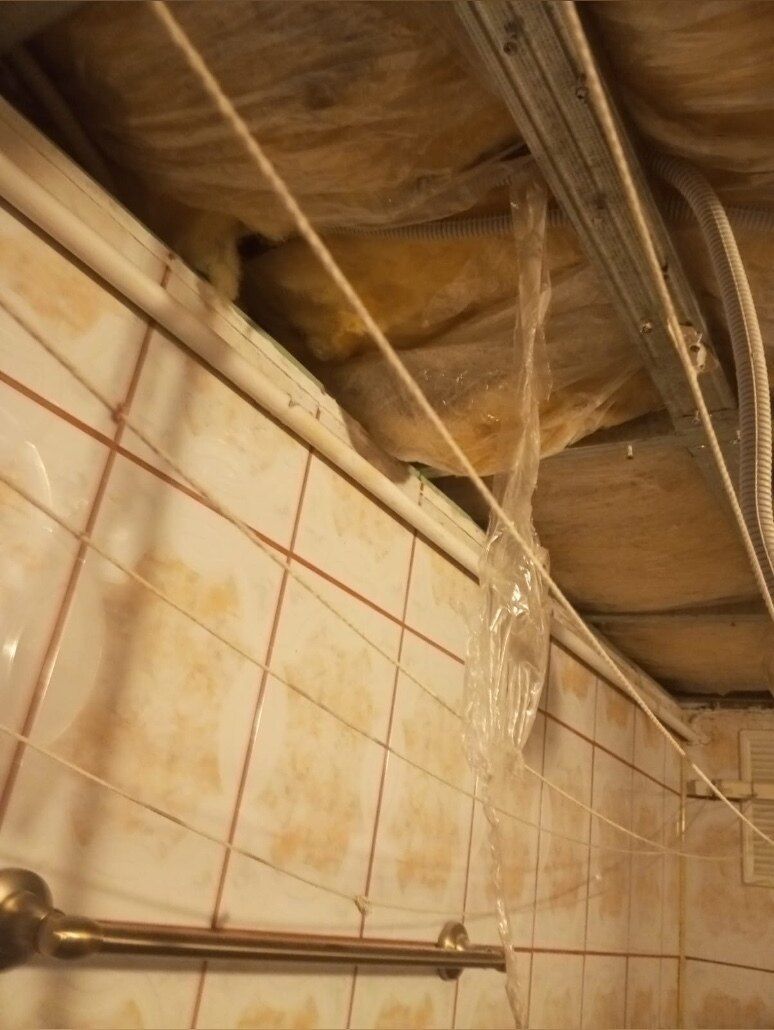 onlyfans Miami host profile banner