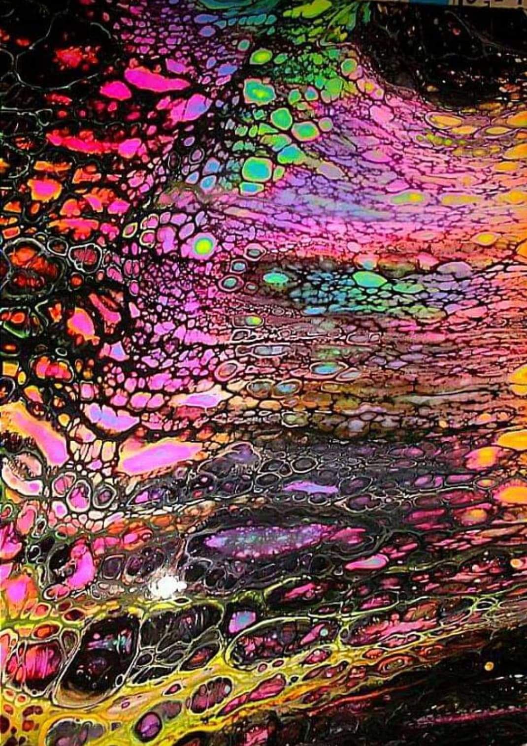 onlyfans XoXOliviaFox profile banner