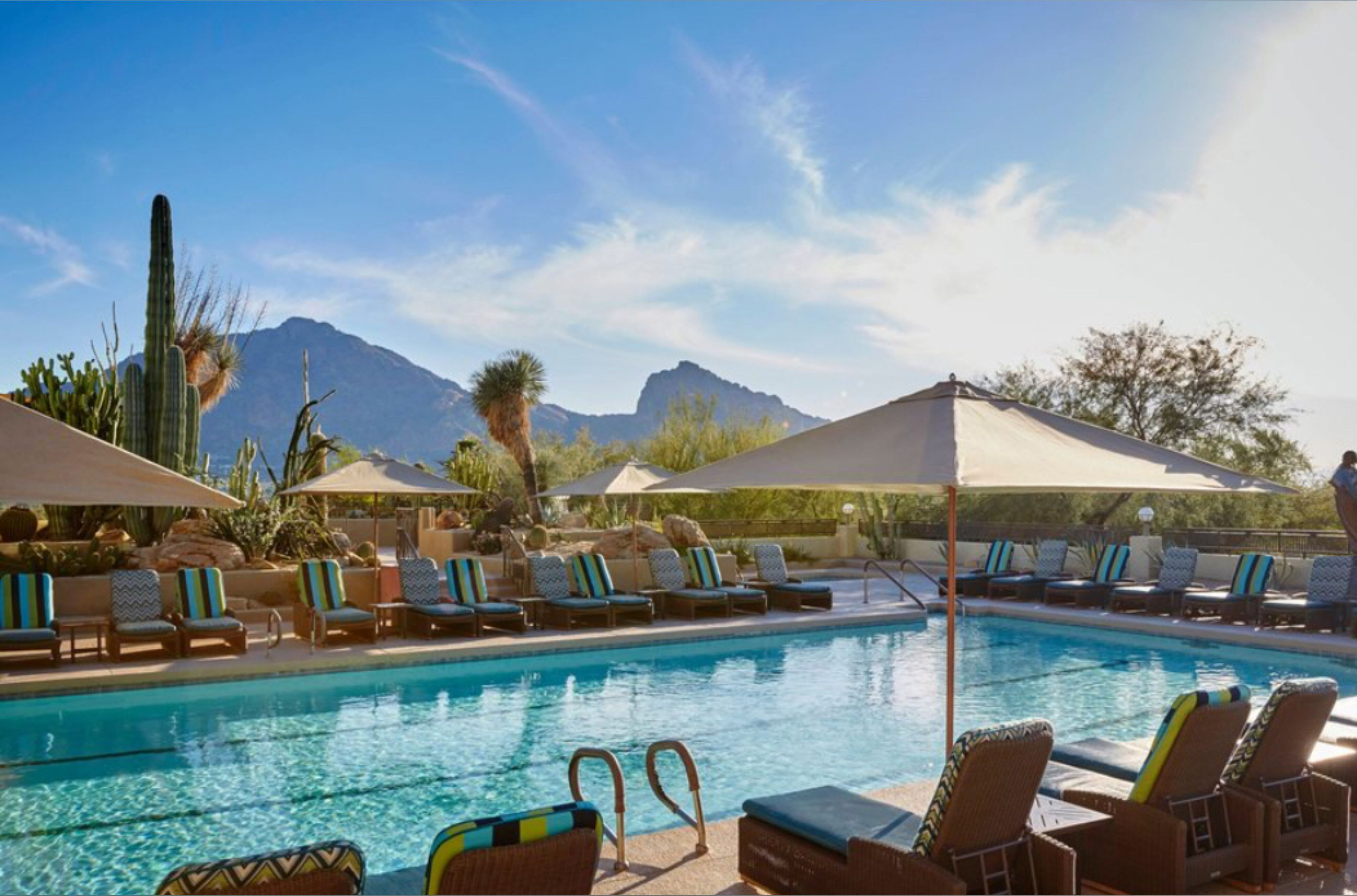 onlyfans Zendenjen profile banner