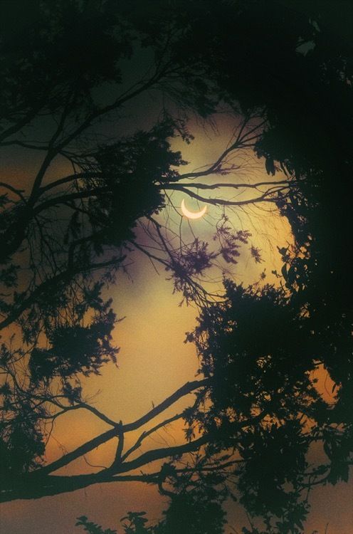 onlyfans Nicole profile banner