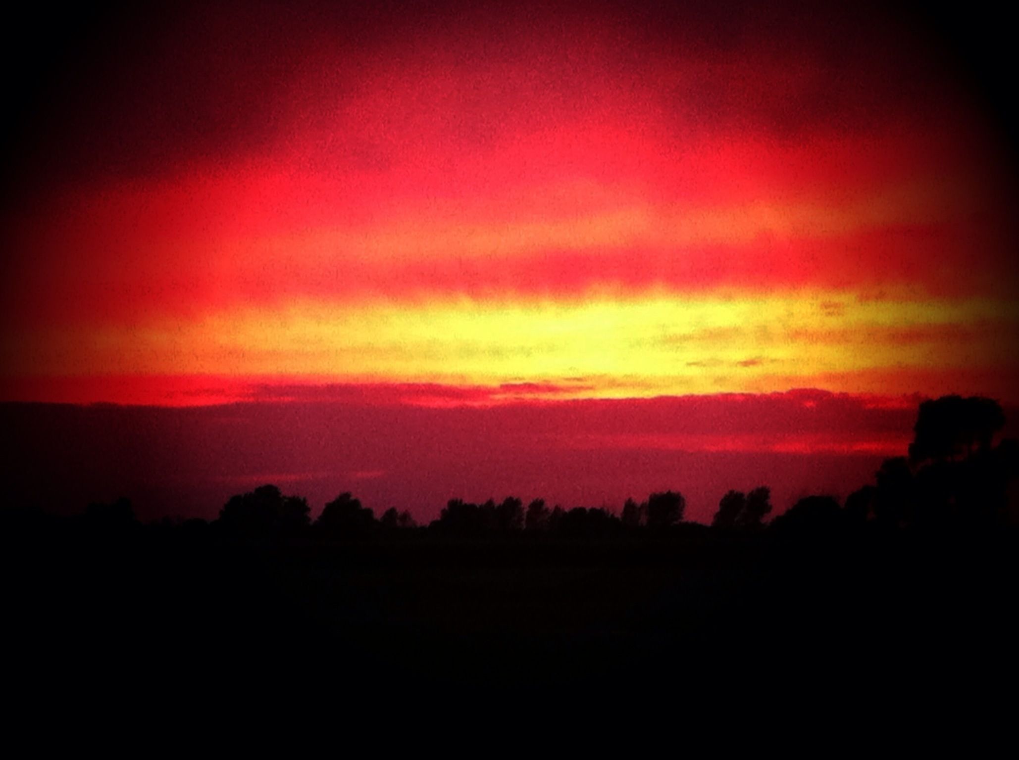 onlyfans Kate profile banner