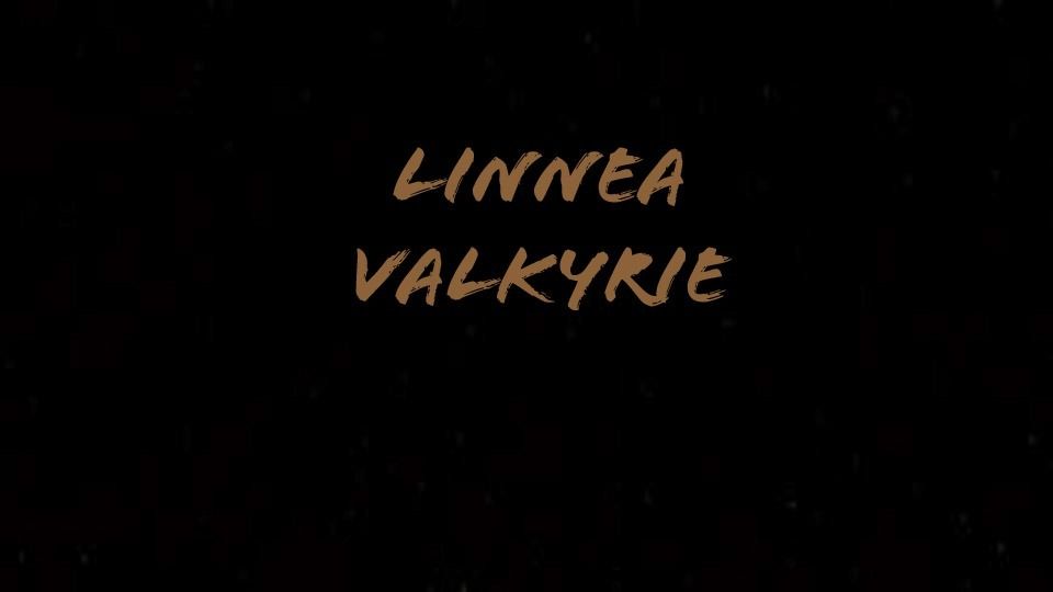 onlyfans LinneaValkyrie profile banner