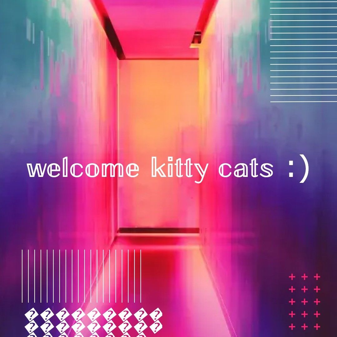 onlyfans Kitty profile banner