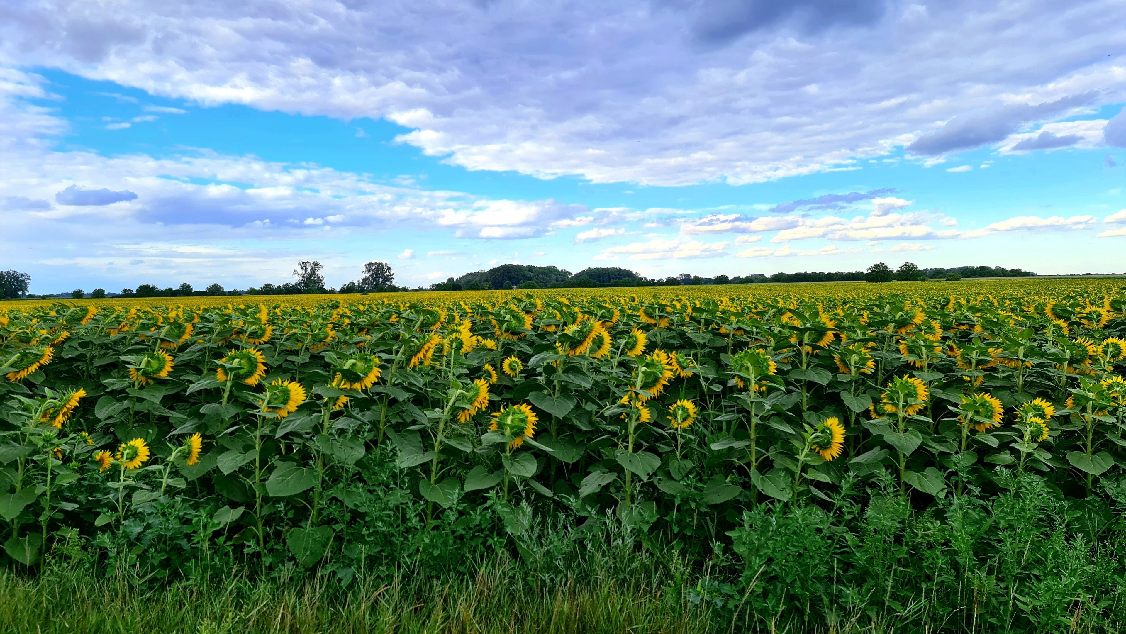 onlyfans Thecouple080.Free profile banner