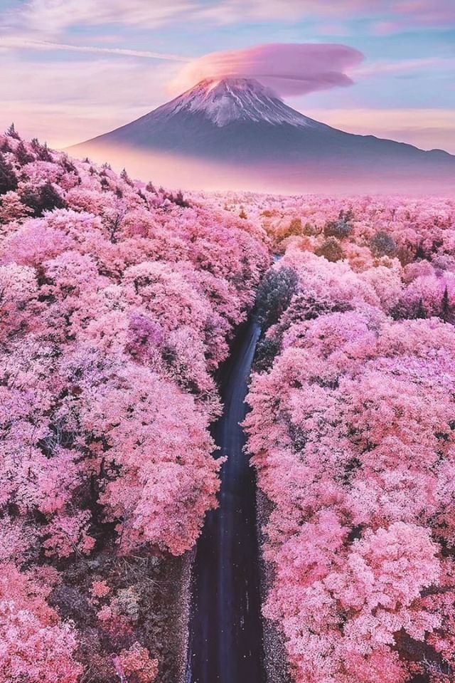 onlyfans Loa profile banner