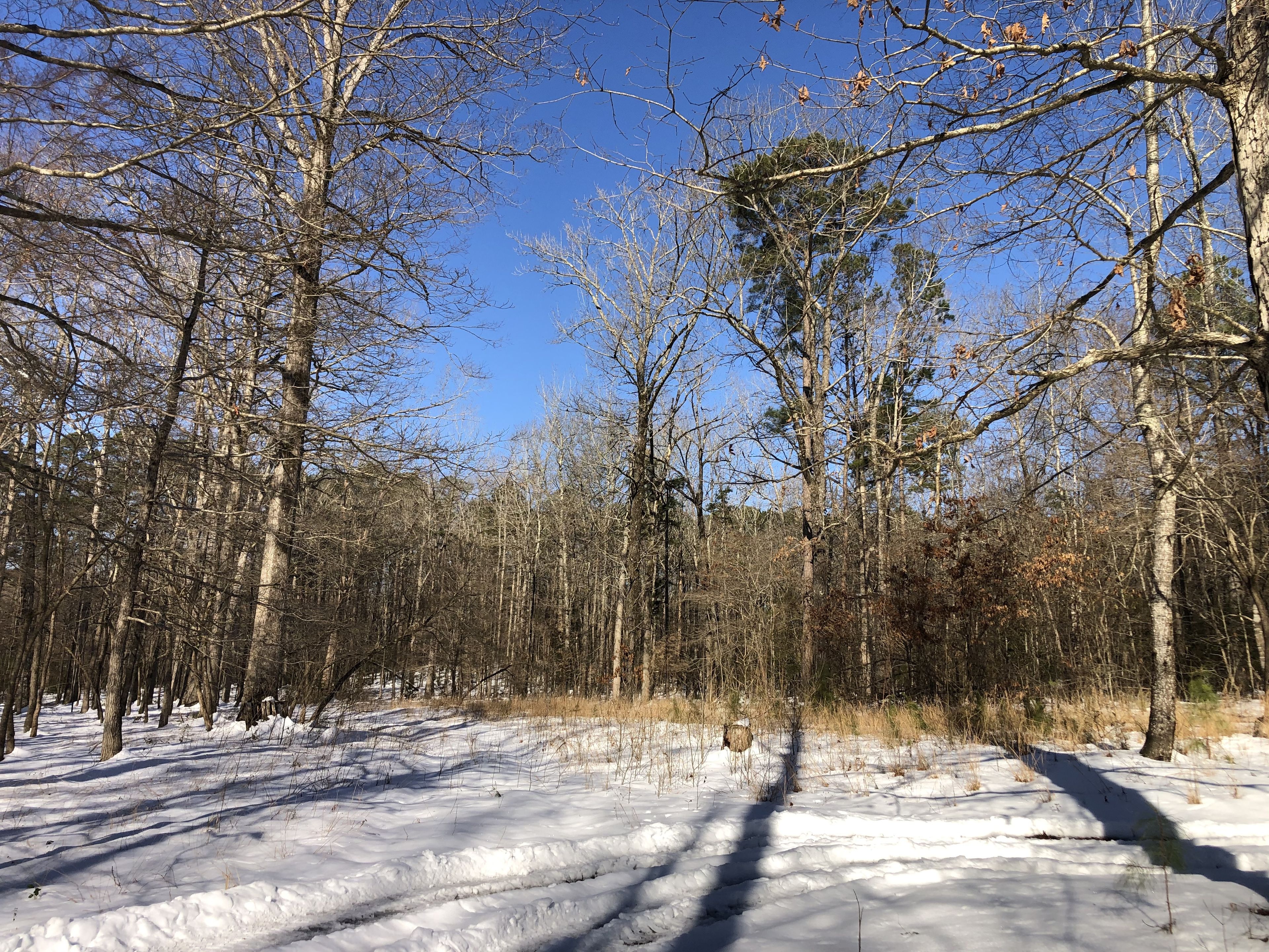 onlyfans Melody profile banner