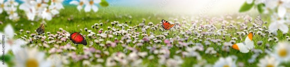 onlyfans Prissy Missy profile banner