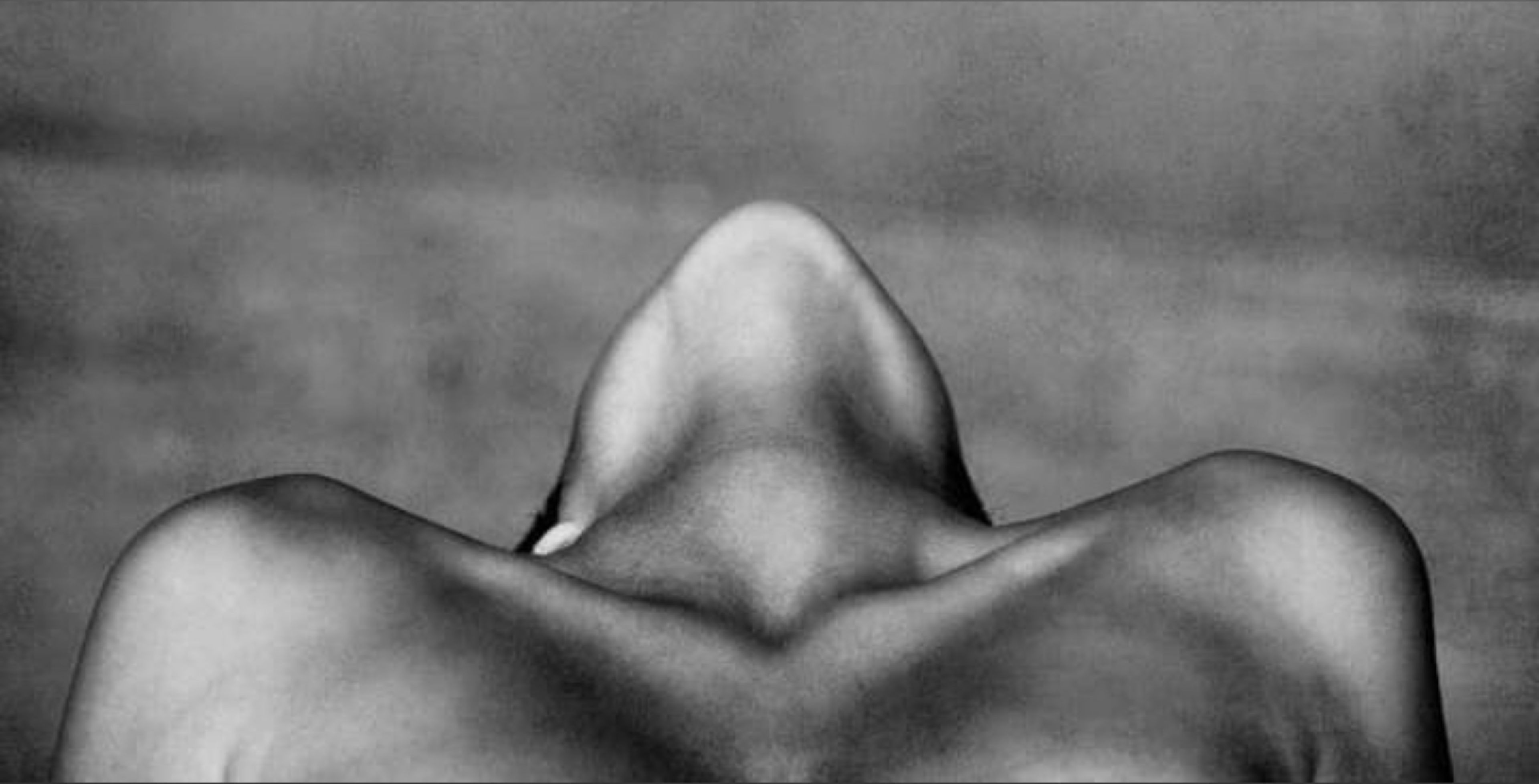 onlyfans Sineaddp profile banner