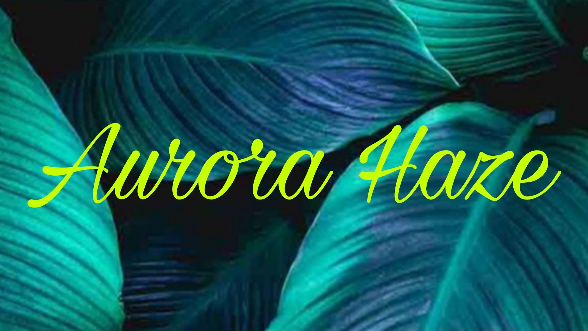 onlyfans Aurora Haze profile banner