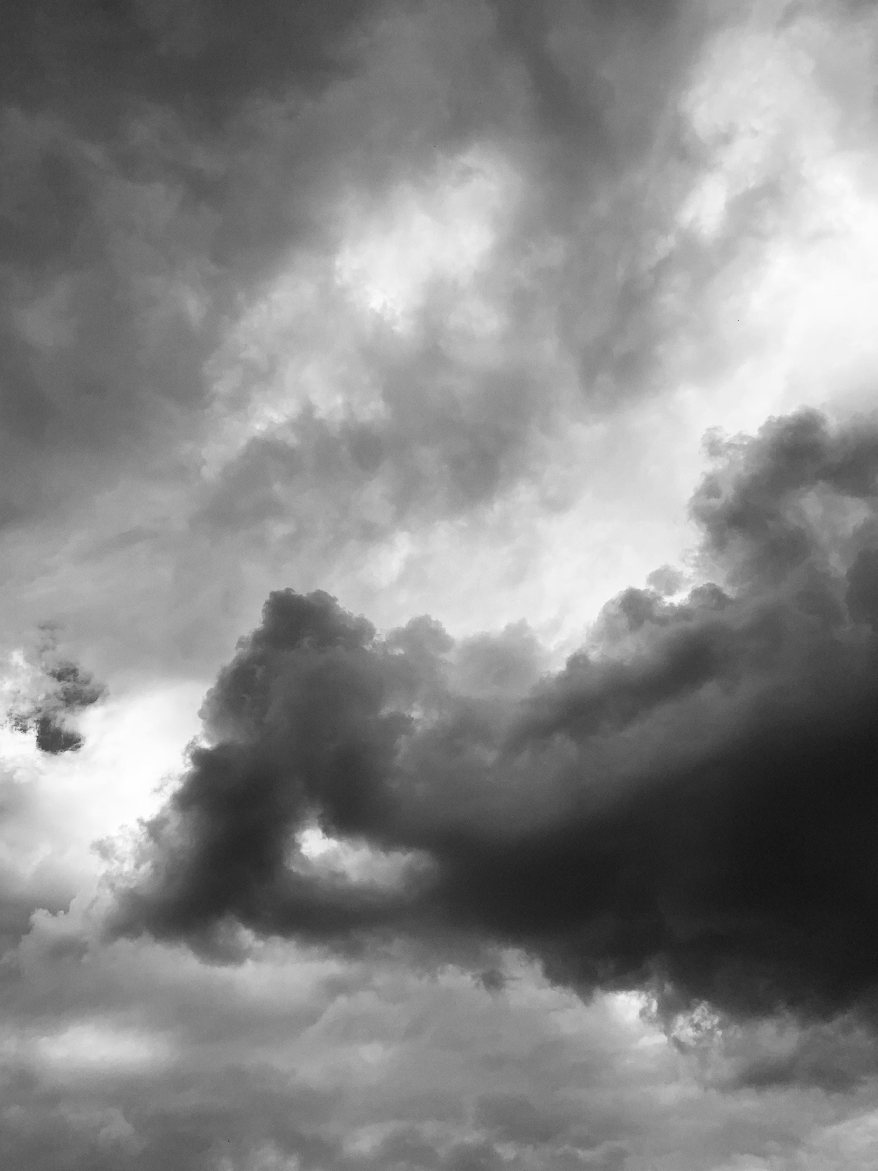 onlyfans Ivy ๐ฅ profile banner