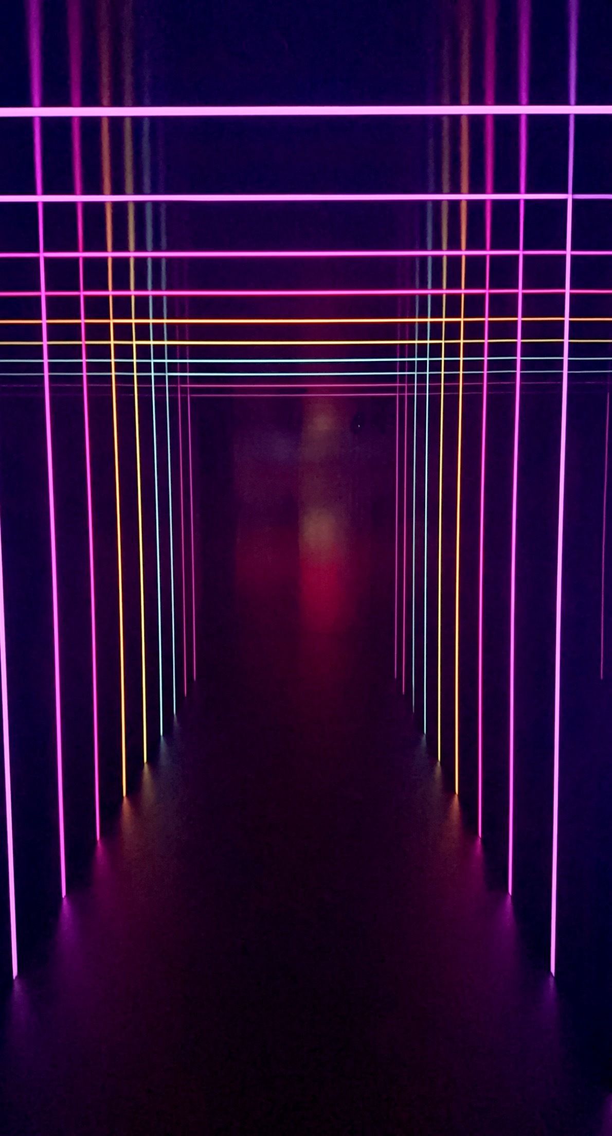 onlyfans Big_Dick Lover profile banner