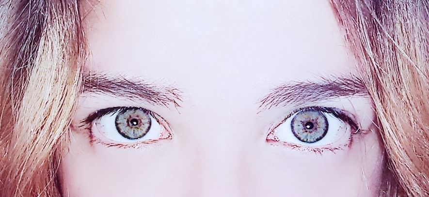 onlyfans Littner profile banner